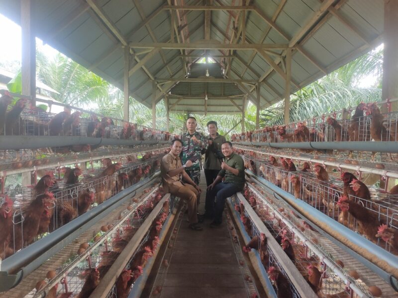 Kepala Desa Rugiono, Babinsa, Serta Direktur Bumdes Rahmat saat meninjau Kandang Ayam Petelur Desa Tanjung Kemenyan